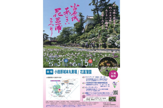 小田原城あじさい花菖蒲まつり